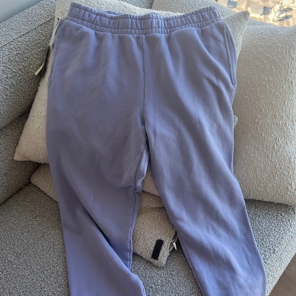 Aritzia free Terry sweats